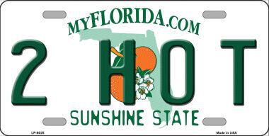 LP-6025 2 Hot Florida Novelty Metal License Plate