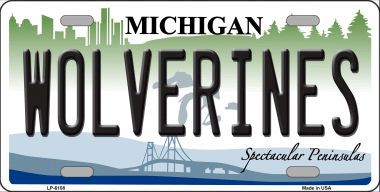 LP-6108 Michigan Wolverines Metal Novelty License Plate