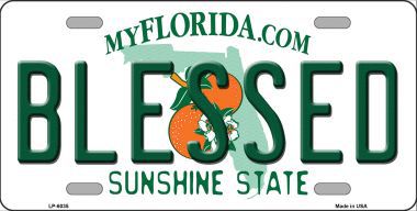 LP-6035 Blessed Florida Novelty Metal License Plate