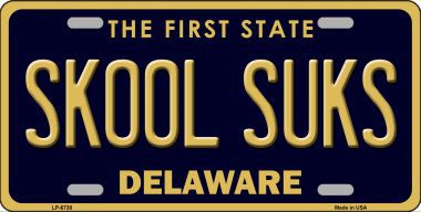 LP-6738 Skool Suks Delaware Novelty Metal License Plate