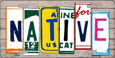LP-7849 Native License Plate Art Wood Pattern Metal Novelty License Plate