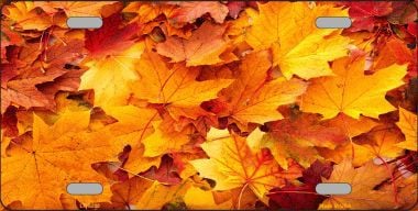 LP-8288 Fall Leaves Novelty Metal License Plate