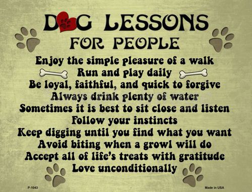P-1043 Dog Lessons Metal Novelty Parking Sign