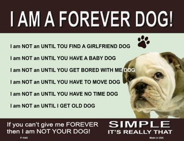 P-1045 Forever Dog Metal Novelty Parking Sign