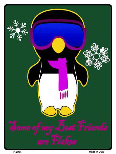 P-2284 My Best Friends are Flakes Metal Novelty Parking Sign