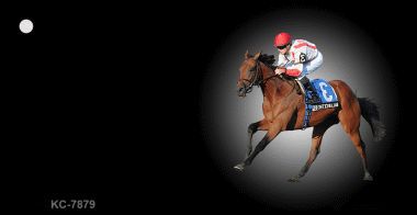 KC-7879 Horse Race Offset Novelty Key Chain