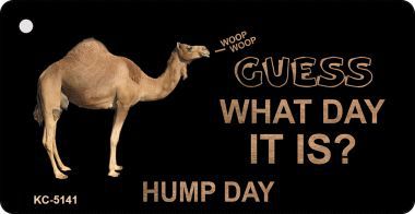SMART BLONDE Hump Day Novelty Aluminum Key Chain KC-5141