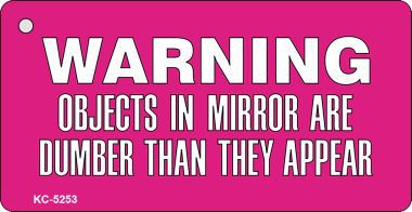 KC-5253 Warning Objects In Mirror Pink Background Novelty Key Chain