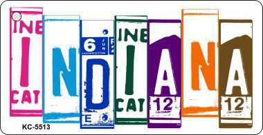 SMART BLONDE Indiana License Plate Tag Art Metal Novelty Aluminum Key Chain KC-5513