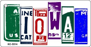 SMART BLONDE Iowa License Plate Tag Art Metal Novelty Aluminum Key Chain KC-5514