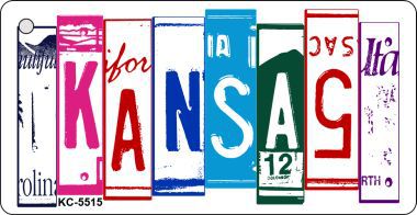SMART BLONDE Kansas License Plate Tag Art Metal Novelty Aluminum Key Chain KC-5515