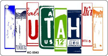 SMART BLONDE Utah License Plate Tag Art Metal Novelty Aluminum Key Chain KC-5543