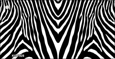 KC-7928 Zebra Print Background Novelty Key Chain
