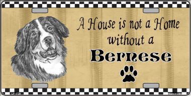 LP-1728 Pencil Sketch Bernese Metal Novelty License Plate
