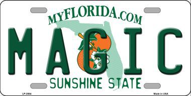 LP-2584 Magic Florida Novelty State Background Metal License Plate