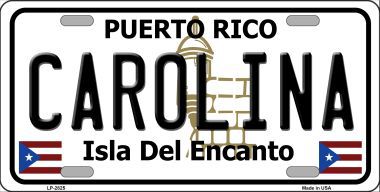 LP-2825 Carolina Metal Novelty License Plate