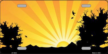 LP-3834 Southwest Orange Sunset Metal Novelty License Plate
