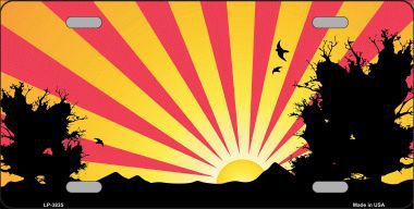 LP-3835 Southwest Red Sunset Metal Novelty License Plate