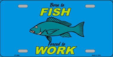LP-3880 Born To Fish Metal Novelty License Plate