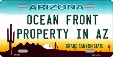 LP-3940 Ocean Front Property Novelty Metal License Plate