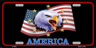 LP-4051 Waving Flag Bald Eagle Black Metal Novelty License Plate