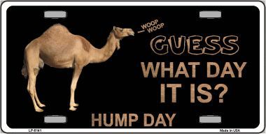LP-5141 It Is Hump Day Metal Novelty License Plate