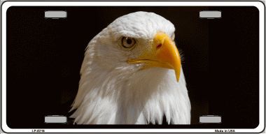 LP-5219 Eagle Novelty Metal License Plate