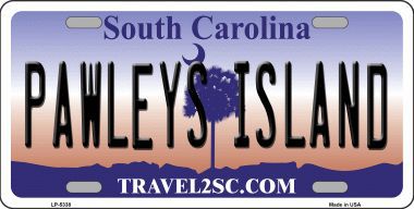 Pawleys Island South Carolina Metal Novelty License Plate -  Smart Blonde, SM671663