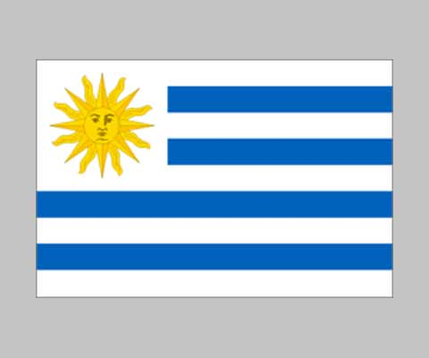 Picture of World Flag F001365 Uruguay Flag