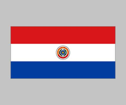 Picture of World Flag F001350 Paraguay Flag