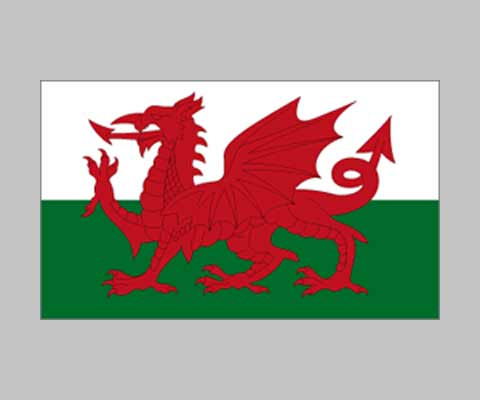 Picture of World Flag F001367 Wales Flag
