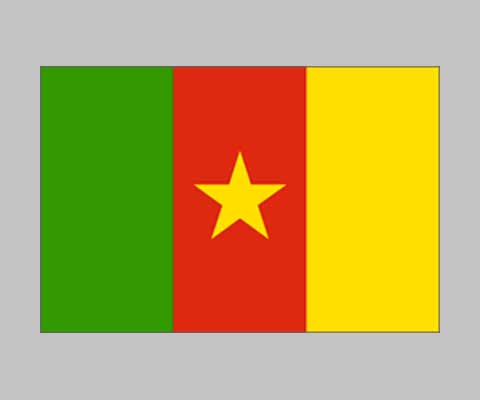 Picture of World Flag F001322 Cameroon Flag