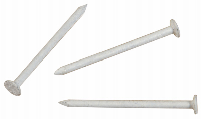 461819 6 oz. Stainless Steel Nails, White