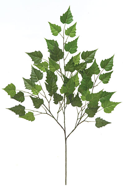 P-8935 28 in. Birch Branch- Dark Green