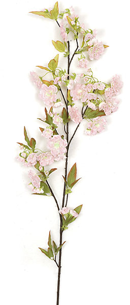 AUTOGRAPH FOLIAGES