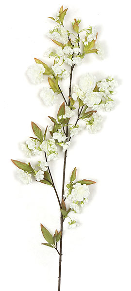 AUTOGRAPH FOLIAGES