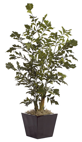 PR-1570 6 ft. Fishtail Palm Tree, Green