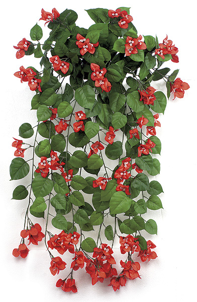 PR-173R 36 in. Bougainvillea Bush- Red
