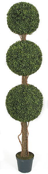 Picture of Autograph Foliages A-117000 60 in. Boxwood Triple Ball, Tutone Green