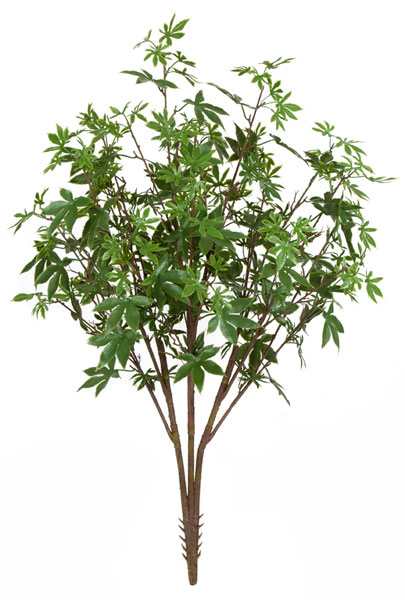 A-144175 38 in. Maple Bush, Green