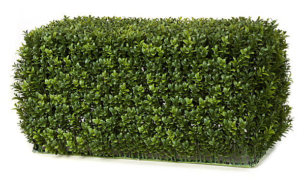 Picture of Autograph Foliages A-144330 23 x 11 x 12 in. Boxwood Hedge- Tutone Green