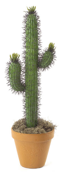 A-6185 28 in. Saguaro Cactus With Leaves, Green