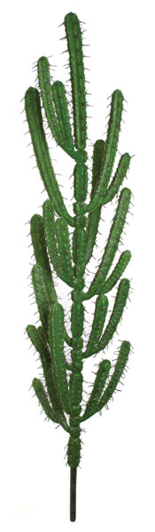 Picture of Autograph Foliages A-675 60 in. Plastic Finger Cactus- Dark Needle