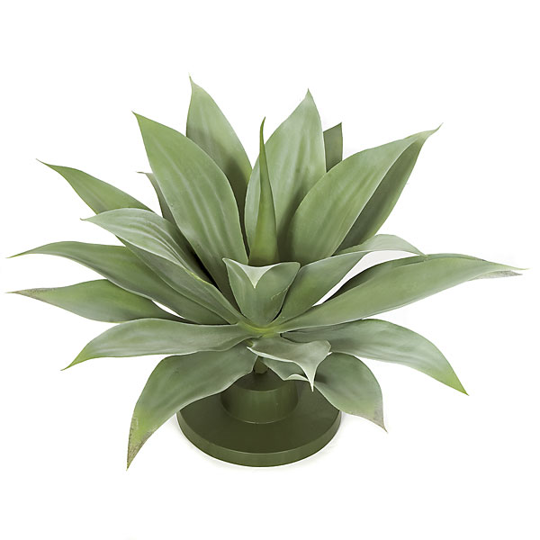 AR-102180 17 in. Agave Base Plant- Green