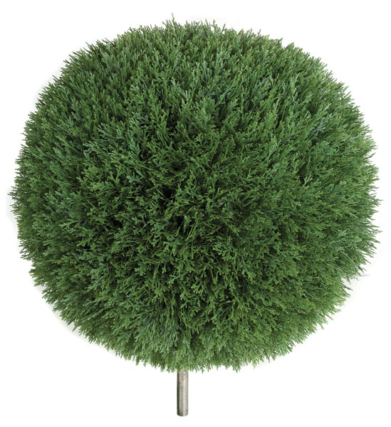 Picture of Autograph Foliages AUV-123130 24 in. Cedar Ball With Pole- Green