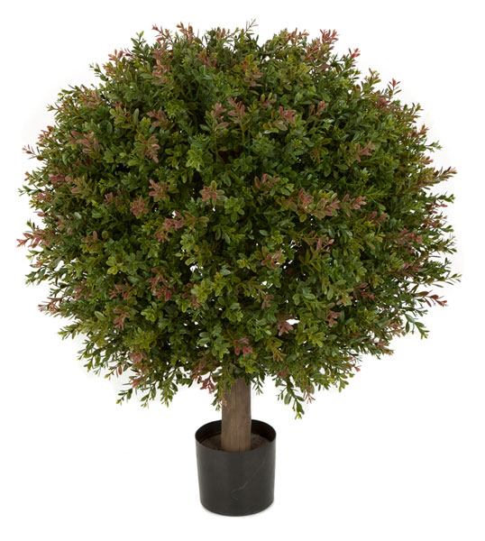 Picture of Autograph Foliages AUV-146060 24 in. WinterGreen Boxwood Ball- Green & Red