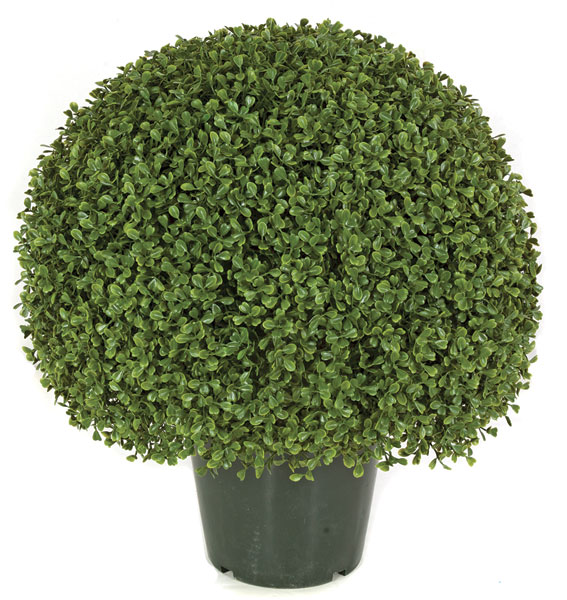 Picture of Autograph Foliages AUV-150050 20 in. Boxwood Ball Topiary- Green