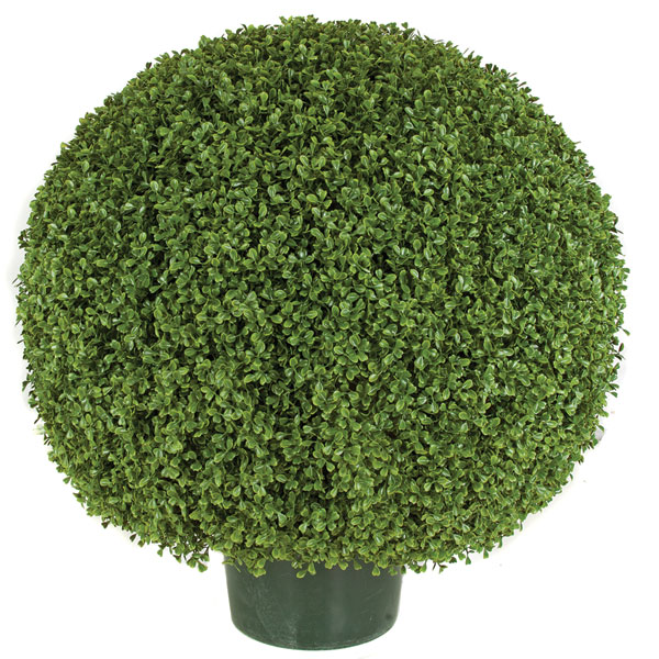 Picture of Autograph Foliages AUV-150056 30 in. Boxwood Ball Topiary- Green