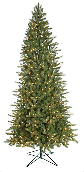 Picture of Autograph Foliages C-120114 9 ft. Slim Spruce Tree&#44; Green