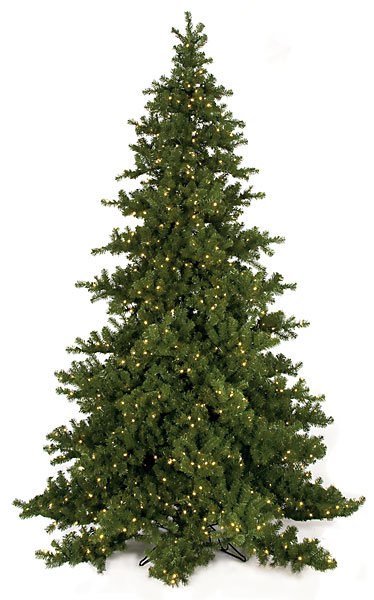 C-9754 9 ft. Nikko Fir Tree, Green